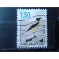 Израиль 1993 Стандарт, птица 1,50 Михель-3,0 евро гаш