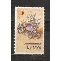 КГ Кения 1971 Ракушка