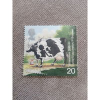 Великобритания 1999. Домашний скот. Корова