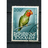 Того - 1964/1965 - Птица 200Fr - [Mi.404] - 1 марка. Гашеная.  (Лот 73EK)-T7P17