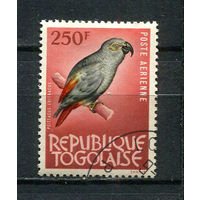 Того - 1964/1965 - Птица 250Fr - [Mi.405] - 1 марка. Гашеная.  (Лот 74EK)-T7P17
