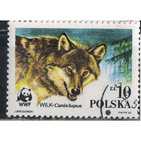 Польша ПНР 1985 Волк фауна