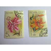 СССР 1989 г. Лилии. Цветы. Растения. Флора