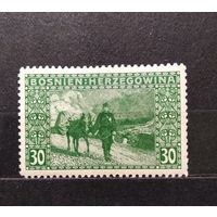 Австро-Венгрия\44фе\ 1906 г.,Босния и Герцеговина,MiNr.37