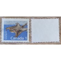 Канада 1988 Канадские млекопитающие.Северная летяга. Mi-CA 1102xA. Перф 13 х 13 1/2