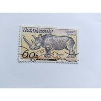 ЧССР  1976  носорог
