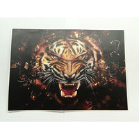 Защитная виниловая наклейка Тигр 27х19см матовая
