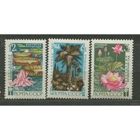Сухумский ботанический сад. 1966. Полная серия 3 марки. Чистые
