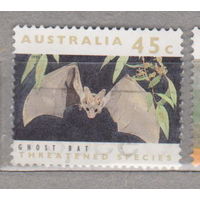 Летучая мышь  Фауна Австралии 1992 год  лот 11