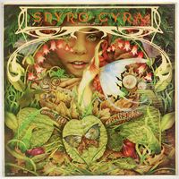 LP Spyro Gyra 'Morning Dance'