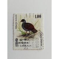 Шри Ланка 1979. Птицы