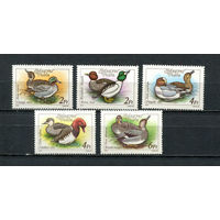 Венгрия - 1988 - Водоплавающие птицы - (незначительные пятна на клее у ном. 2) - [Mi. 3972-3976] - полная серия - 5 марок. MNH.  (Лот 119CX)