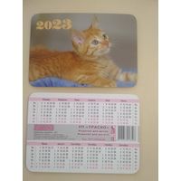Карманный календарик . Котик. 2023 год