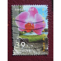Нидерланды 2002 г. Цветы.