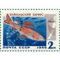 Марка СССР 1966 год. Промысловые рыбы Байкала. 3399. Хариус. Марка из серии.