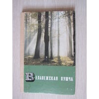Беловежская пуща Набор-гармошка  45 открыток.