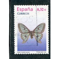 Испания. Бабочка