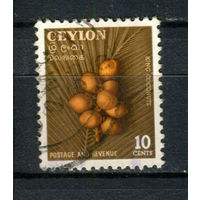 Цейлон (Шри-Ланка) - 1954 - Королевские кокосы - [Mi. 281] - полная серия - 1 марка. Гашеная.  (Лот 108AX)