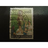 Индонезия 1994 5-летний план по медицине