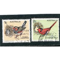 Австралия. Птицы. Из вып.1979