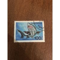 Танзания 1993. Акула Pristiophorus Cirratus