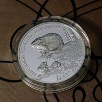 Березинский биосферный заповедник. Бобр, 20 рублей 2002, Серебро