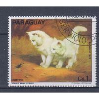 [2181] Парагвай 1977. Фауна.Домашние кошки. Гашеная марка.