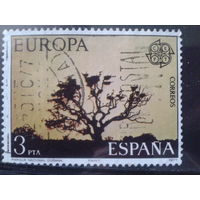 Испания 1977 Европа, дерево в нац. парке