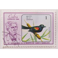 Куба 1986, птица