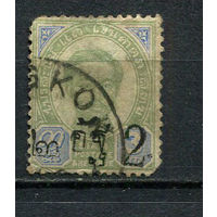 Таиланд - 1899/1891 - Корль Чулалонгкорн с надпечаткой 2Att на 3Att - (есть тонкое место) - [Mi.18 II] - 1 марка. Гашеная.  (Лот 14CU)