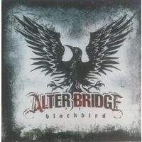Alter Bridge,"Blackbird",Russia,2007г.