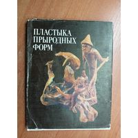 "Пластыка прыродных форм". Автор текста и составитель Александр Макаров