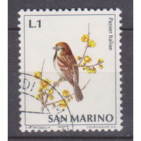 Фауна Птицы Сан-Марино 1972 год лот 2
