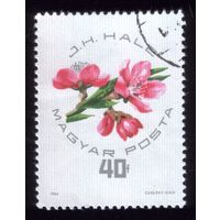 1 марка 1964 год Венгрия Цветы 2044