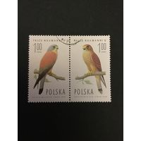Соколы. Польша,1975, 2 марки из серии