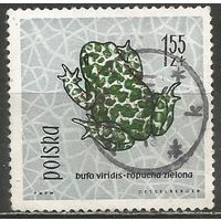 Польша. Зелёная жаба. 1963г. Mi#1401.