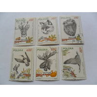 Польша 1981г, фауна 6 марок