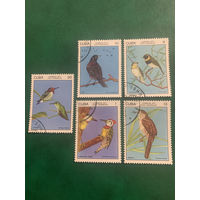 Куба 1977. Фауна. Птицы. Полная серия