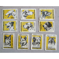 Спичечные этикетки Породы собак 17 штук 1963 Приокский СНХ