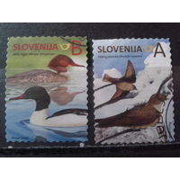 Словения 2014 Стандарт, птицы Михель-1,5 евро гаш