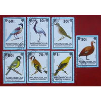 Монголия. Птицы. ( 7 марок ) 1979 года. 8-14.