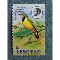 Лесото 1982 г. Птицы.