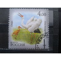 Россия 2006 Стерх