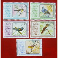 Куба. Птицы. ( 5 марок ) 1986 года. 10-7.
