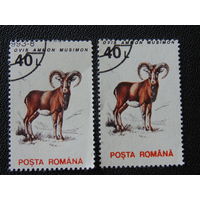 Румыния 1993 г. Фауна. Одна марка.