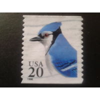 США 1996 стандарт, птица