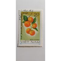 Вьетнам 1981. Фрукты