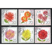 Цветы Георгины ГДР 1979 год серия из 6 марок