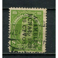 Эквадор - 1928 - ASAMBLEA/NCNAL. 1928/ 20 CTVOS на 8С - [Mi.262] - 1 марка. Гашеная.  (LOT ET46)-T10P5