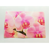 Защитная виниловая наклейка Орхидеи 24,5х16,5см матовая